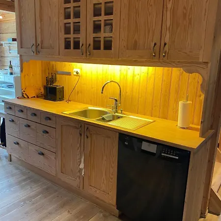 Stort Hus Med Tommervegger Og Fjordutsikt Holiday home